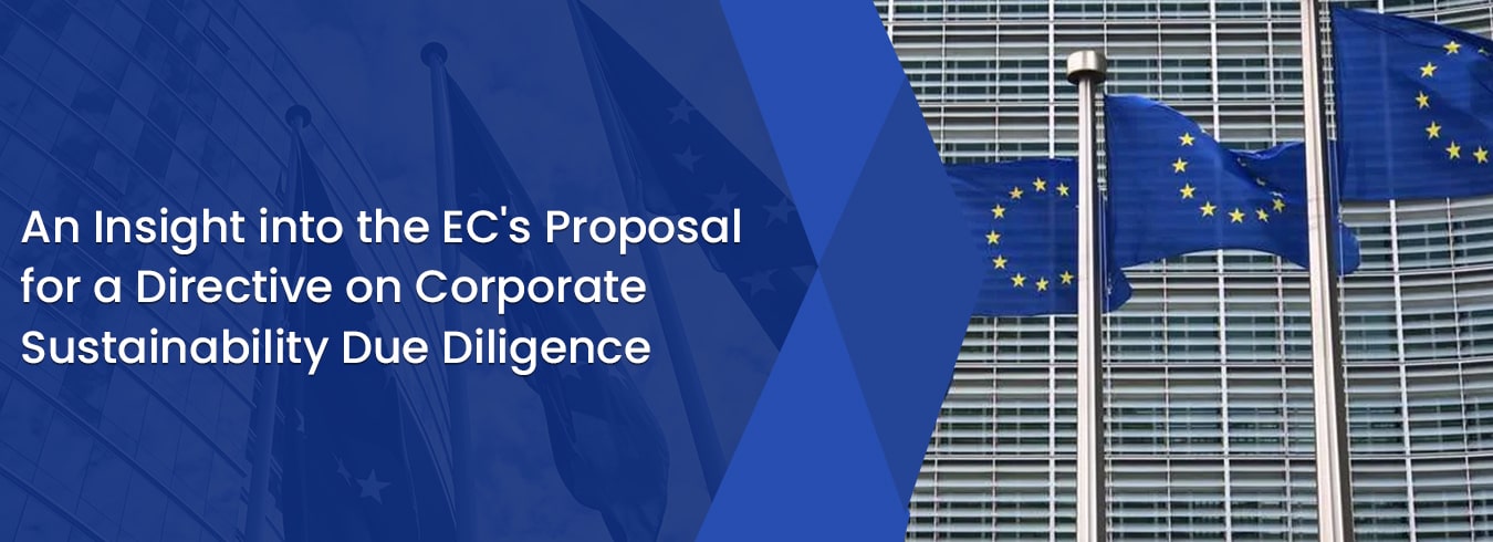Directive on Corporate Sustainability Due Diligence