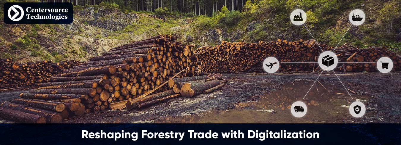 Reshaping Forestry Trade with Digitalization