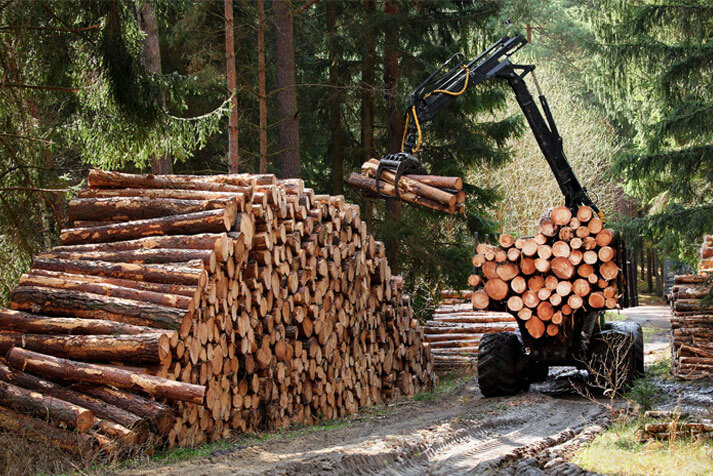 Forestry-Industry