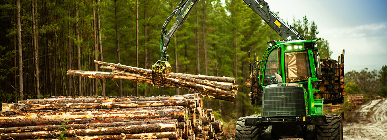 Forestry Industry and Global Supply Chains